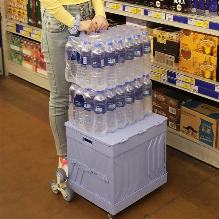 Portable Shopping Cart