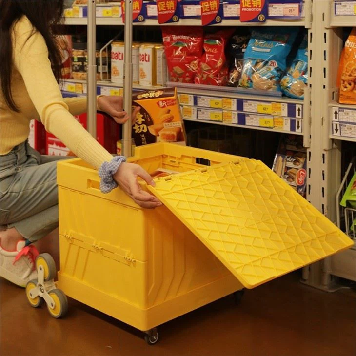 Portable Shopping Cart